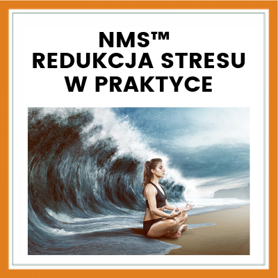 Redukcja stresu w praktyce - Warsztat NMS